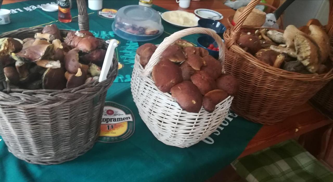 Sedmikraska Villa Horní Maršov Eksteriør billede