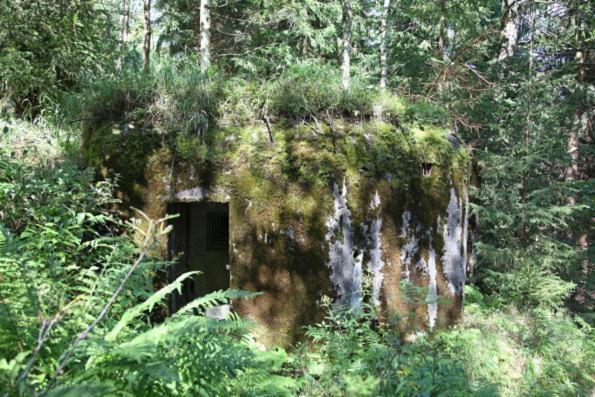Sedmikraska Villa Horní Maršov Eksteriør billede